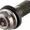 Shimano Titan-Befestigungsschraube Für XTR Bremssättel -Shimano 215212