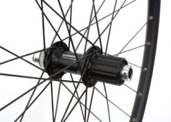 Shimano -Shimano SCM XT 29 FH M8010 533D X12 2