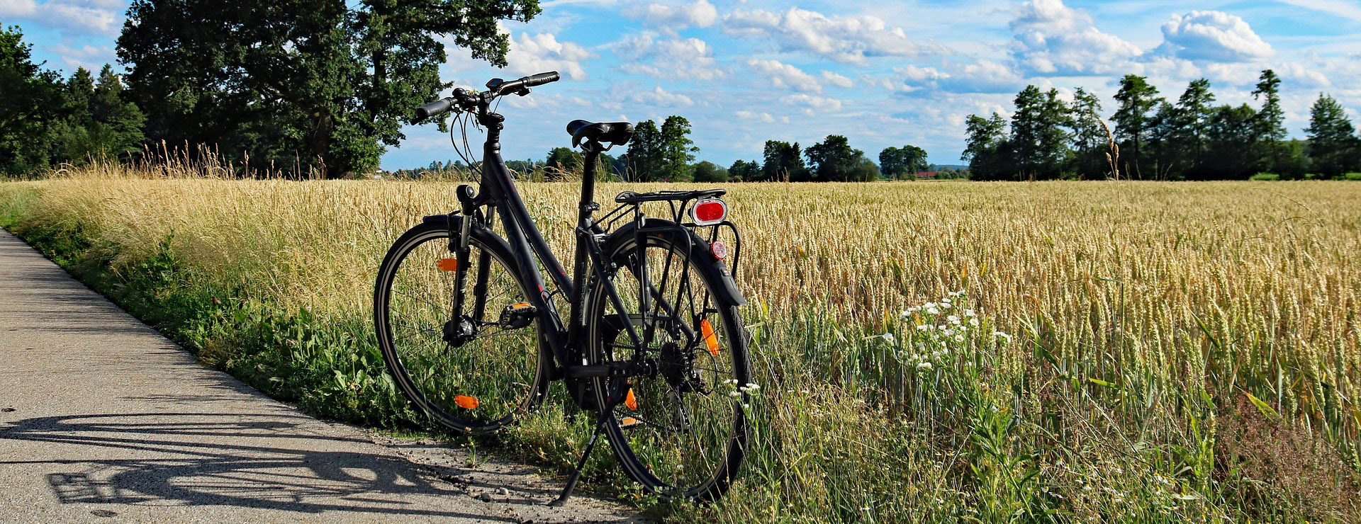 Shimano -Shimano summer 2462535 1920